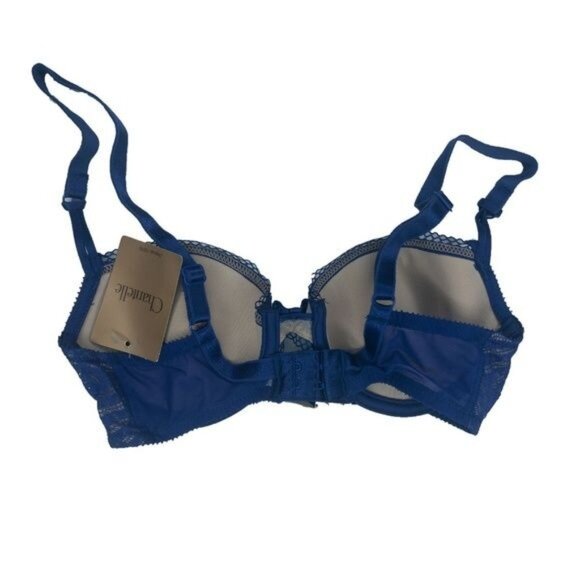 Chantelle Royal Blue Mesh Lace Bra With Tan Lining & Charm Accent - Picture 3 of 4